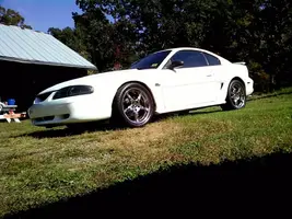 mustang.webp