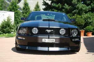 DSC_1254_1024x.webp