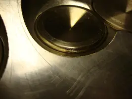 valve and pistons 001.webp