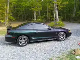 cobra7.webp