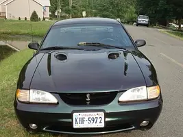 stang2.webp