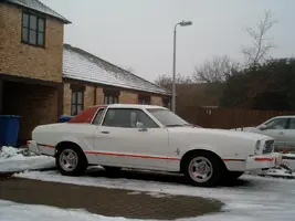 mustang 041.webp