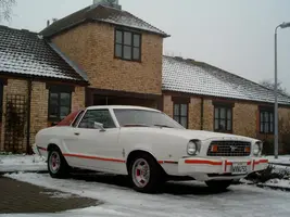 mustang 046.webp