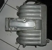 DSC00010.webp