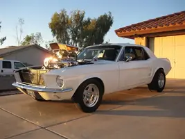 Mustang 008b.webp