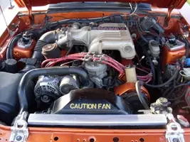 mycar11.webp