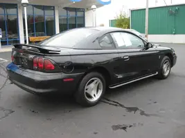 stang2.webp