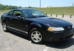 mustang2.webp