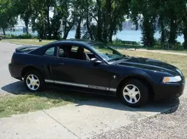 mustang5.webp
