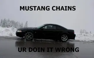 mustang_chains.webp