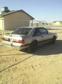 Mustang 1.webp