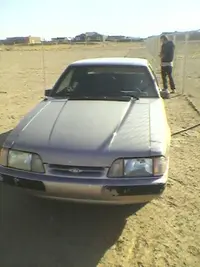 Mustang 2.webp