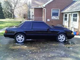 mustang.webp
