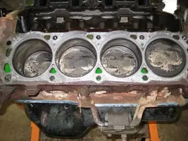 mustang 019.webp