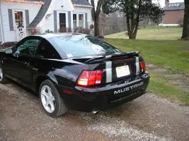 stang.webp