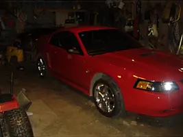 red2.webp