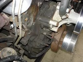 DSC00003a.webp