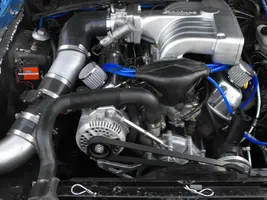 mustang 002.webp