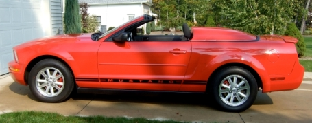 New Mustang.webp
