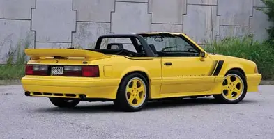 foxsaleen2.webp