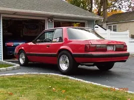 kevs stangs.webp