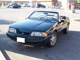 greenstang.webp