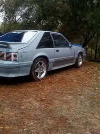 mustang.webp