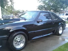 Mustang.webp