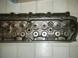 DSCF5588.webp