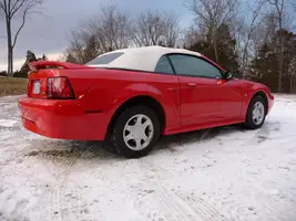 Mustang 1.webp
