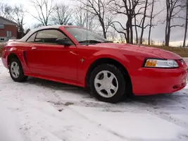 Mustang 2.webp