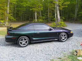 mustang2.webp