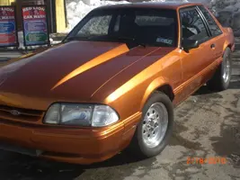 MUSTANGPICS2010 016.webp
