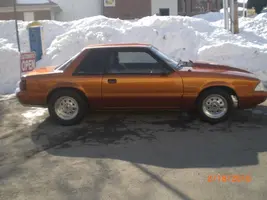 MUSTANGPICS2010 013.webp