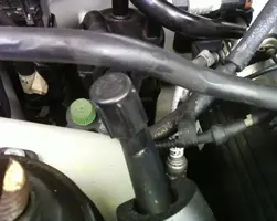 unknown2.webp