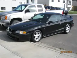 mustang 002.webp