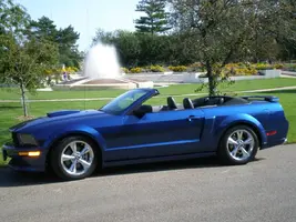 new pics of mustang 003.webp