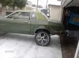 DONK 1.webp