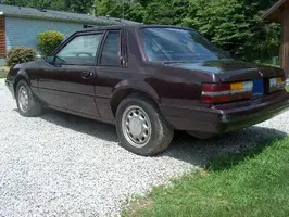 stang C.webp