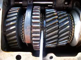trannygear.webp