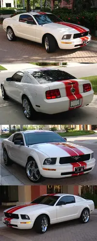 stang_8inch_red_on_white.webp