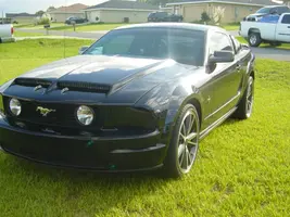 2007 stang 008.webp