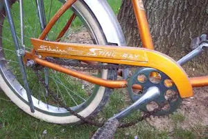 chain guard.webp