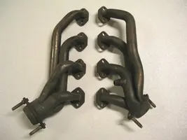 P4281167headers.webp