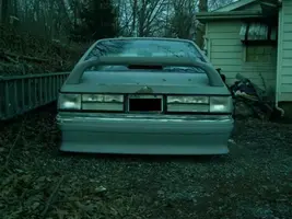 mystang5.webp