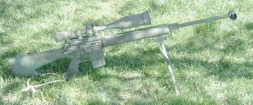 AR1.webp