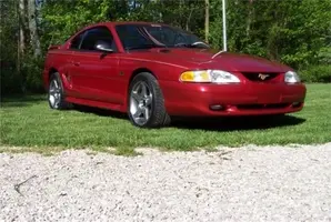 Mustang1.webp