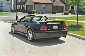 cobra1.webp