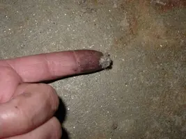 gold dust.webp