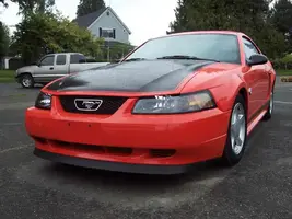 orange_mustang_web.webp